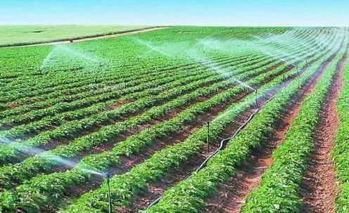 18美女激情内射农田高 效节水灌溉